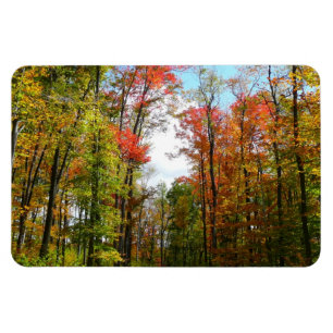 Magnet Flexible Arbres d'automne et ciel bleu Photographie de la n