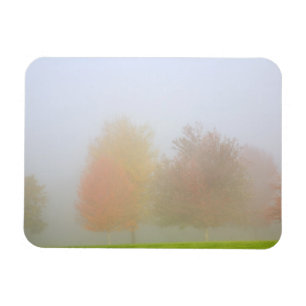 Magnet Flexible Arbres de chute enveloppés en brume