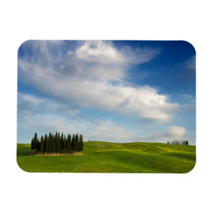 Magnet Flexible Arbres de Cypress dans l'aimant rectangulaire de