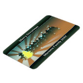 Magnet Flexible Arbres de Noël teintes de vert jaune flexible (Côté Gauche)