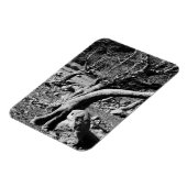 MAGNET FLEXIBLE ARBRES NOIRS ET BLANCS (Côté Gauche)