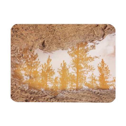 Magnet Flexible Arbres réfléchissant dans l'eau de la boue de plui (Horizontal)