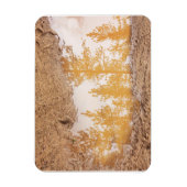 Magnet Flexible Arbres réfléchissant dans l'eau de la boue de plui (Vertical)