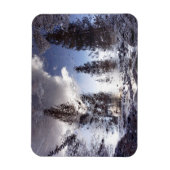 Magnet Flexible Arbres réfléchissant dans l'eau de la flaque de pl (Vertical)