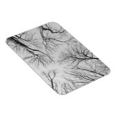 Magnet Flexible Arbres sans feuilles dans le bois de Thiepval (Côté Droit)