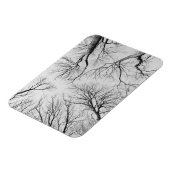 Magnet Flexible Arbres sans feuilles dans le bois de Thiepval (Côté Gauche)