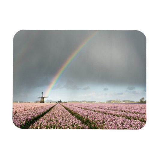 Magnet Flexible Arc-en-ciel sur les hyacinthes et un moulin à vent (Horizontal)