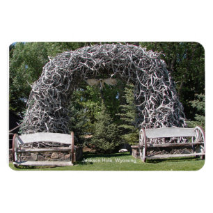 Magnet Flexible Arche Elk Antler - Jackson Hole, Wyoming