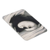 Magnet Flexible Arctic Fox, from 'Narrative of a Second voyage in (Côté Droit)