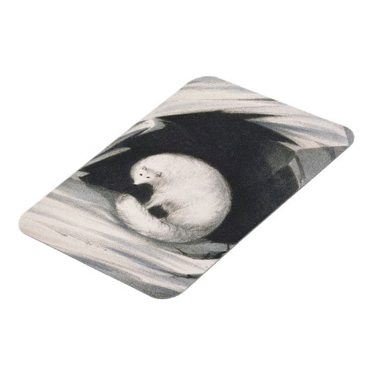 Magnet Flexible Arctic Fox, from 'Narrative of a Second voyage in (Côté Gauche)