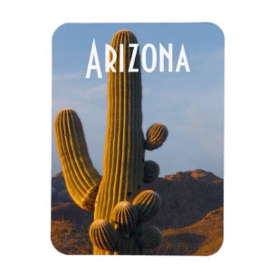 Magnet Flexible Arizona Sunlit Saguaro