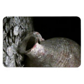 Magnet Flexible art antique (Horizontal)