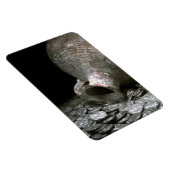 Magnet Flexible art antique (Côté Droit)