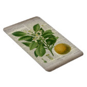 Magnet Flexible art botanique vintage contemporain (Côté Droit)