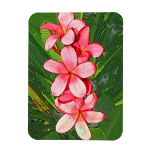 Magnet Flexible Art de Frangipanier Tropical Rose