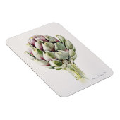 Magnet Flexible Artichoke Study 1993 (Côté Droit)