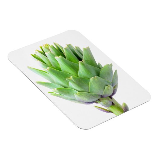 Magnet Flexible Artique (Côté Droit)