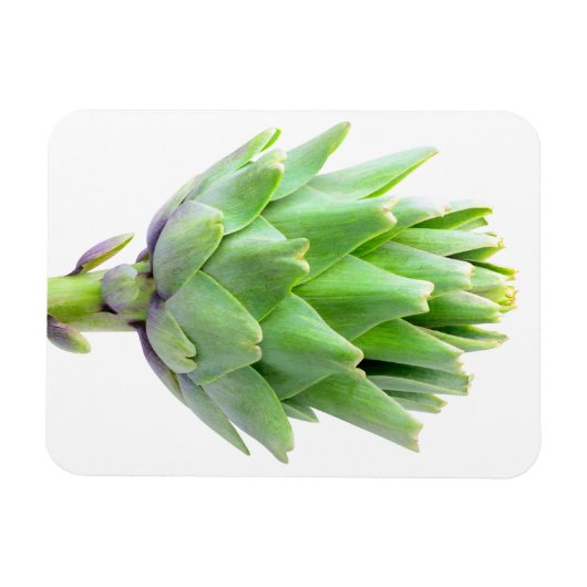 Magnet Flexible Artique (Horizontal)