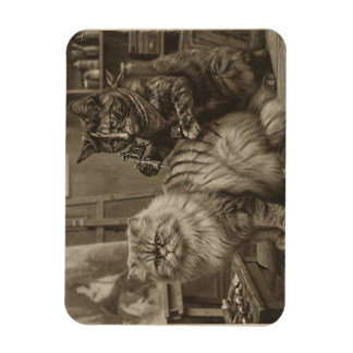 Magnet Flexible Artiste de tatouage de chat sépia vintage – Victor