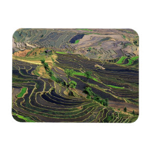 Magnet Flexible Asie, Chine, Yunnan, Honghe. Rizières près de