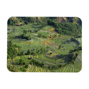 Magnet Flexible Asie, Chine, Yunnan, Yuanyang. Motif de vert 2