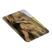 Magnet Flexible Asie, Inde, Parc national de Nargahole. Indien (Côté Droit)