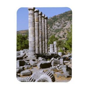 Magnet Flexible Asie, Moyen-Orient, Turquie, Ephèse. Temple de