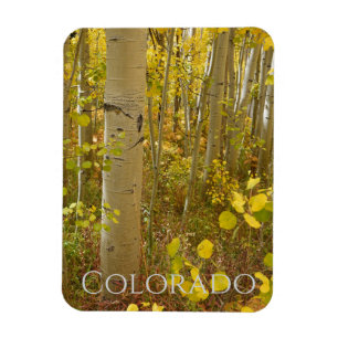 Magnet Flexible Aspect d'automne sur Independence Pass Colorado