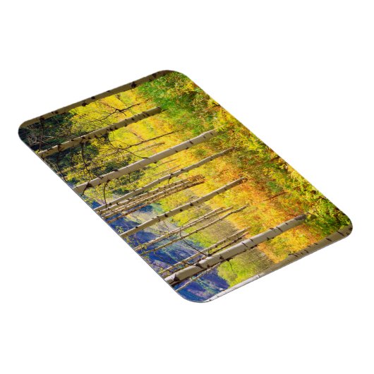 Magnet Flexible Aspen Trees (Côté Droit)