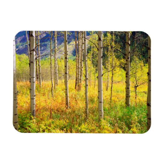 Magnet Flexible Aspen Trees (Horizontal)