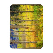 Magnet Flexible Aspen Trees (Vertical)