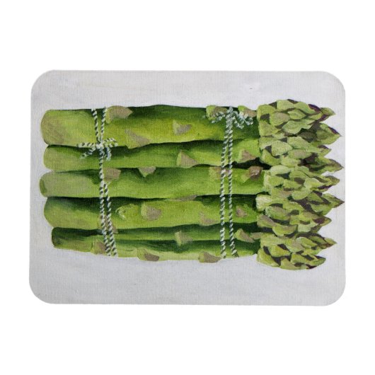 Magnet Flexible Asperges 2013 (Horizontal)