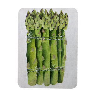 Magnet Flexible Asperges 2013