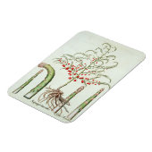 Magnet Flexible Asperges communes en fleur et fruits, du 'Ho (Côté Gauche)