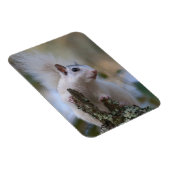 Magnet Flexible Astronaute de Squerrl (Côté Droit)