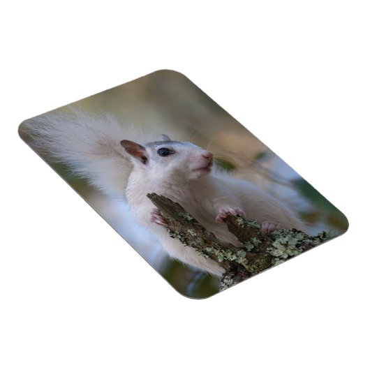 Magnet Flexible Astronaute de Squerrl (Côté Droit)