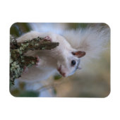 Magnet Flexible Astronaute de Squerrl (Horizontal)