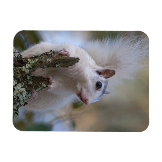 Magnet Flexible Astronaute de Squerrl (Horizontal)