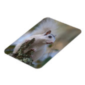 Magnet Flexible Astronaute de Squerrl (Côté Gauche)