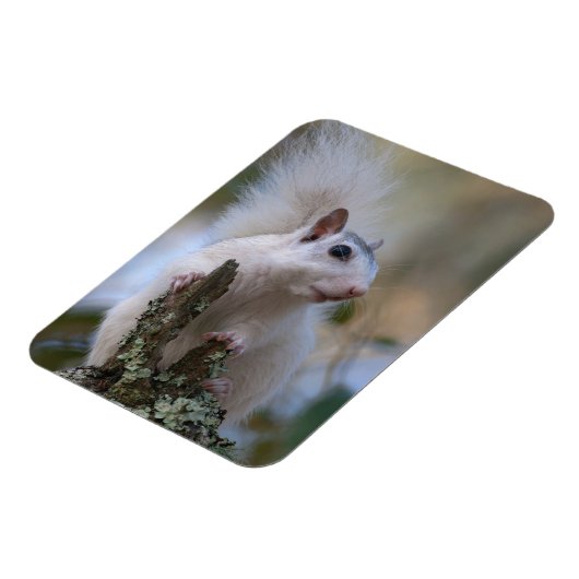 Magnet Flexible Astronaute de Squerrl (Côté Gauche)