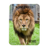 Magnet Flexible Athos Lion - (Vertical)