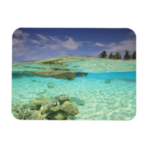 Magnet Flexible Atoll de Huvadhoo Sud, Maldives Sud, Indien