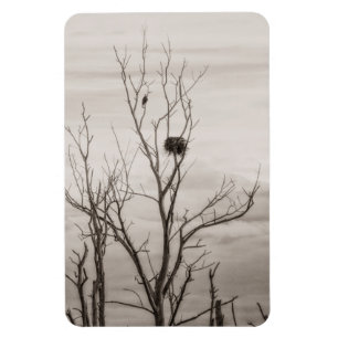 Magnet Flexible Attente de la vie