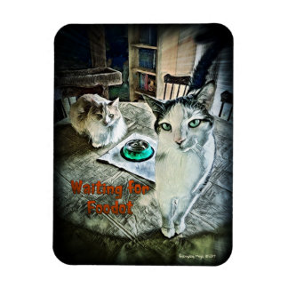 Magnet Flexible Attente de l'aimant flexible Foodot 3" x 4"