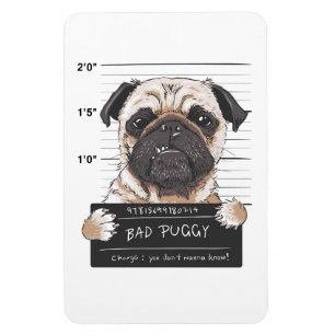 Magnet Flexible Attention au chien