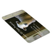 Magnet Flexible Attention Aux Faux Prophètes (Côté Droit)