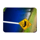 Magnet Flexible Attention Les Alligators Ne Se Nourrissent Pas (Horizontal)