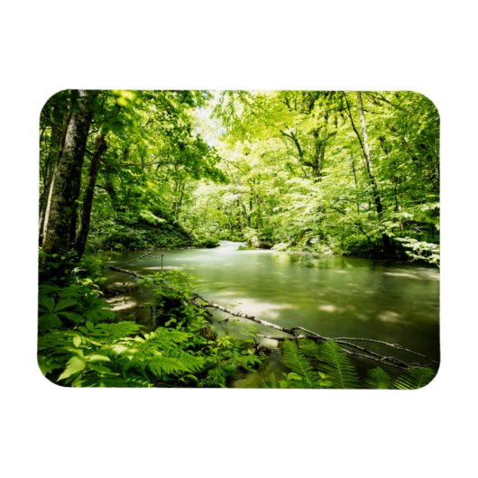 Magnet Flexible Au fond de la forêt (Horizontal)