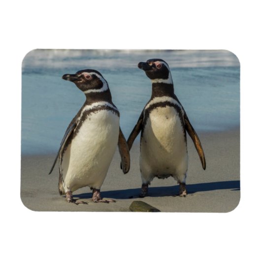 Magnet Flexible Au pair des penguins (Horizontal)