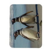 Magnet Flexible Au pair des penguins (Vertical)